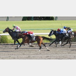 前走も首差②着と接戦