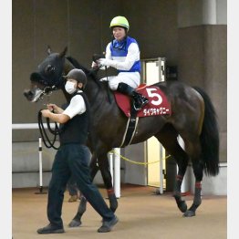 去勢明けの毎日王冠で③着