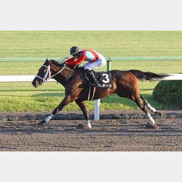 平城京Sを快勝