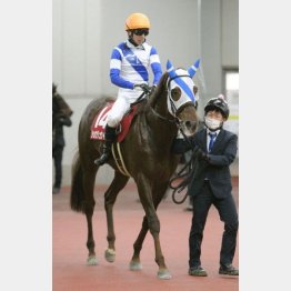 ①着ショウリュウイクゾ(団野騎手)「最後は“何とかしのいでくれ”と、ガムシャラに追いました」