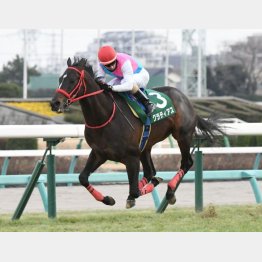 2馬身半差の快勝