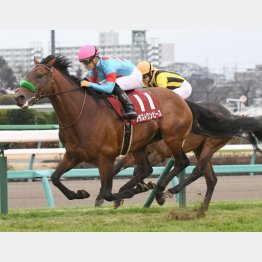 昨年はブラストワンピースが貫禄勝ち