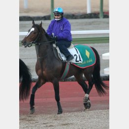 1週前はルメール騎乗