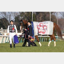 フェブラリーS以来の勝利を