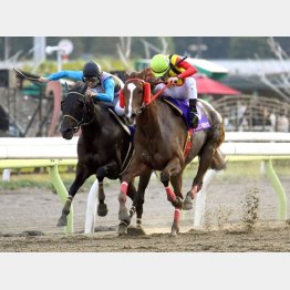 17年のJBCレディスクラシックでは頭差②着(左)