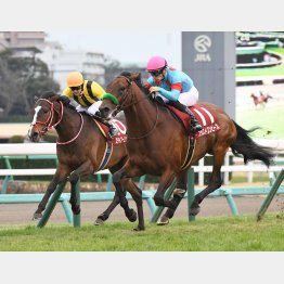 昨年は5歳馬がワン・ツー