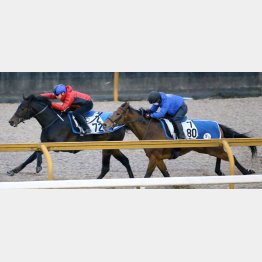 ヴェルトライゼンデは半馬身の先着