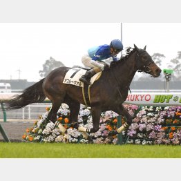 中京7F芝で3勝