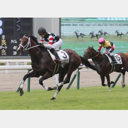 昨年9月の小倉勝ちが優秀
