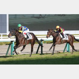 未勝利勝ちは②着に2馬身差