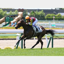 デビュー戦はレコードV