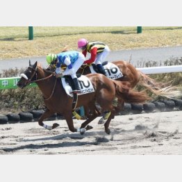 この舞台で初勝利