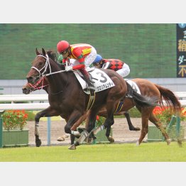 新馬Vは大外一気