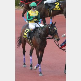 前走でオープン特別を2連勝