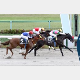ダートに転向して2連勝