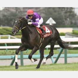 セントライト記念で重賞2勝目