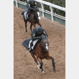 今週は4馬身先着