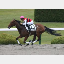 前走は②着に4馬身差の完勝