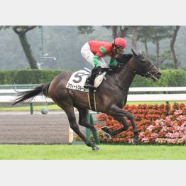 未勝利は不良馬場でⅤ
