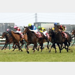 単勝2・4倍の支持に応えた
