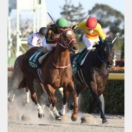 20年はモズアスコットがここと本番を連勝