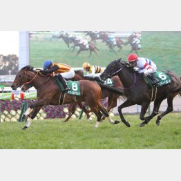 昨年は①~③着馬が首、首差だった