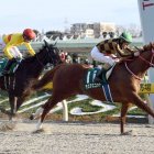 【根岸Ｓ】18、20年の再現を