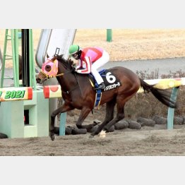 5馬身差の圧勝