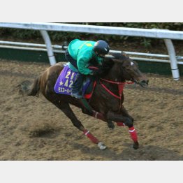 最後まで馬なり