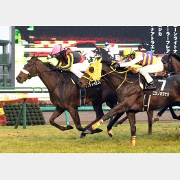 先週の初富士Sは①着ルメール、②着が田辺