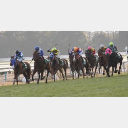 12年は16番人気ケンブリッジエルが③着(右)