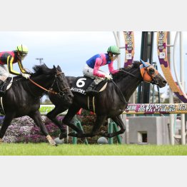 大寒桜賞など中京コースで2勝