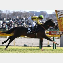 アメジストSを快勝