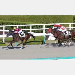 2勝クラス勝ち以来、1年2カ月ぶりの勝利を狙う