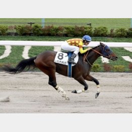 この舞台で3勝