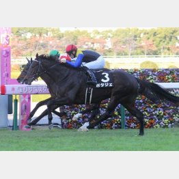3勝クラスも1戦で卒業した