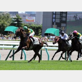牝馬限定の新馬勝ち