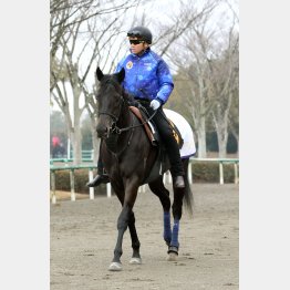 距離短縮は好材料