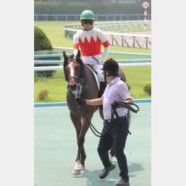 馬体も成長