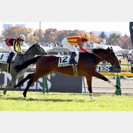 新馬戦から力を示した