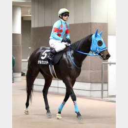 2勝クラスは一発クリア