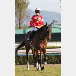 レッドルゼルは川田とのコンビで3勝