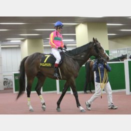 すばるSを完勝