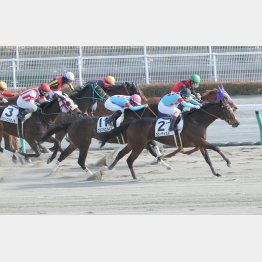 前回は②着だったメモリーコバルト(緑帽)