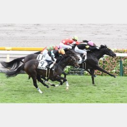 ルイジアナママは東京千八①①②着