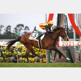 2勝クラスもあっさり