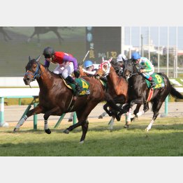 1勝級勝ちは鮮やかだった