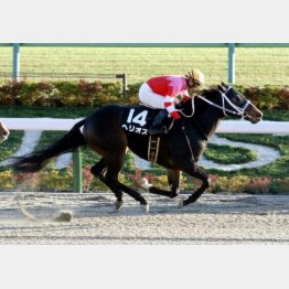 オープン2戦目で勝利