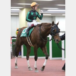 ①着シヴァージ(福永騎手)「GⅠに行っても楽しみ」