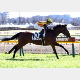 ②着に6馬身差